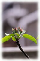 IMGP0580