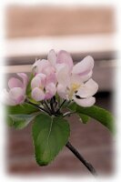 IMGP0643