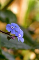 IMGP0369