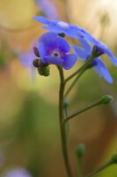 IMGP0446