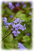 IMGP0598