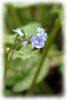 IMGP2658
