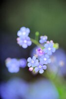 IMGP3564
