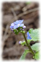 IMGP3747
