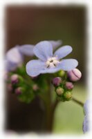 IMGP6545