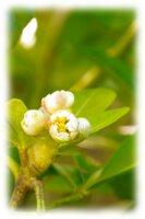 IMGP0482
