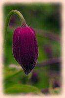 IMGP0340