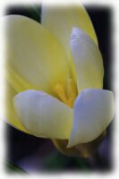 IMGP0027