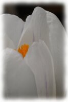 IMGP0026