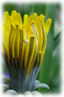 IMGP0416