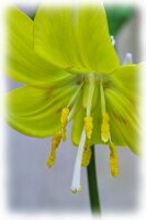 IMGP0453