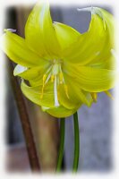 IMGP0468