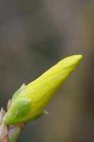 IMGP0143