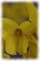 IMGP0355