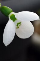 IMGP0074
