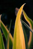 P1000082