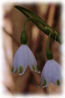 IMGP0404
