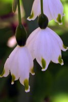 IMGP0435