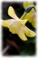 IMGP0641