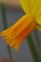 IMGP0063