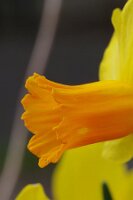 IMGP0256