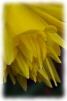 IMGP0169