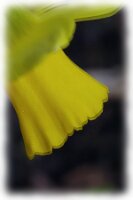 IMGP0046