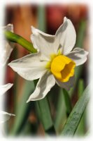 IMGP0217