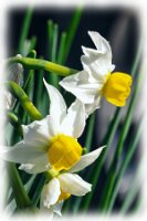 IMGP0238