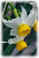 IMGP0255
