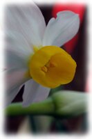 IMGP0286