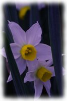 IMGP0335