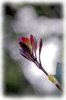 IMGP0628