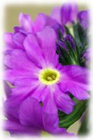 IMGP0041