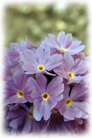 IMGP0084