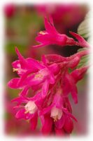 IMGP0357