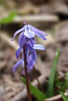 IMGP2724