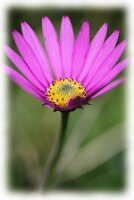 IMGP3543