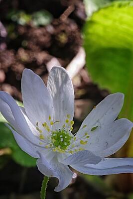 IMGP4469-Resize