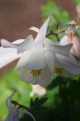 IMGP4899-Resize