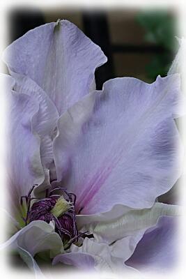 IMGP4585-Resize