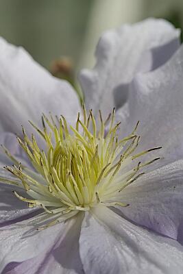 IMGP4942-Resize