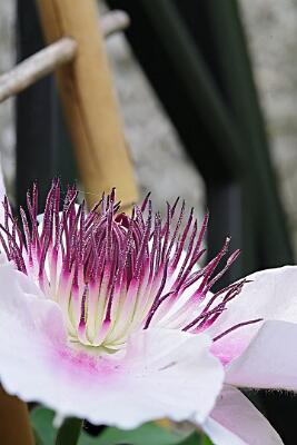 IMGP2140-Resize