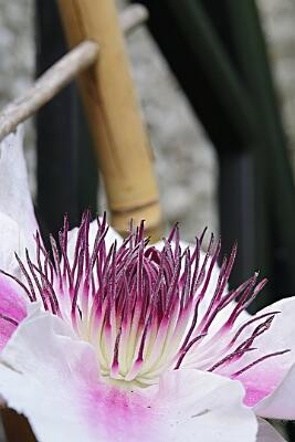IMGP2141-Resize