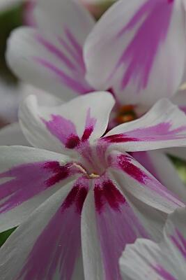 IMGP2219-Resize