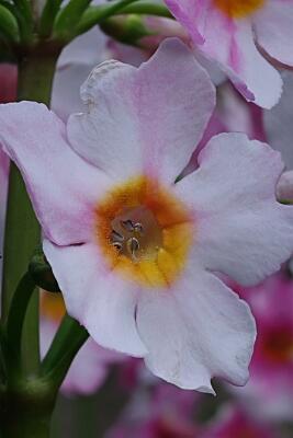 IMGP4598-Resize