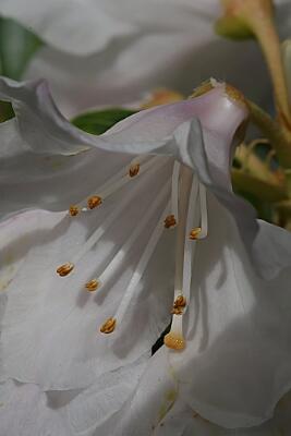 IMGP2073-Resize