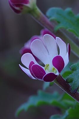IMGP4479-Resize