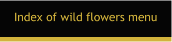 Index of wild flowers menu