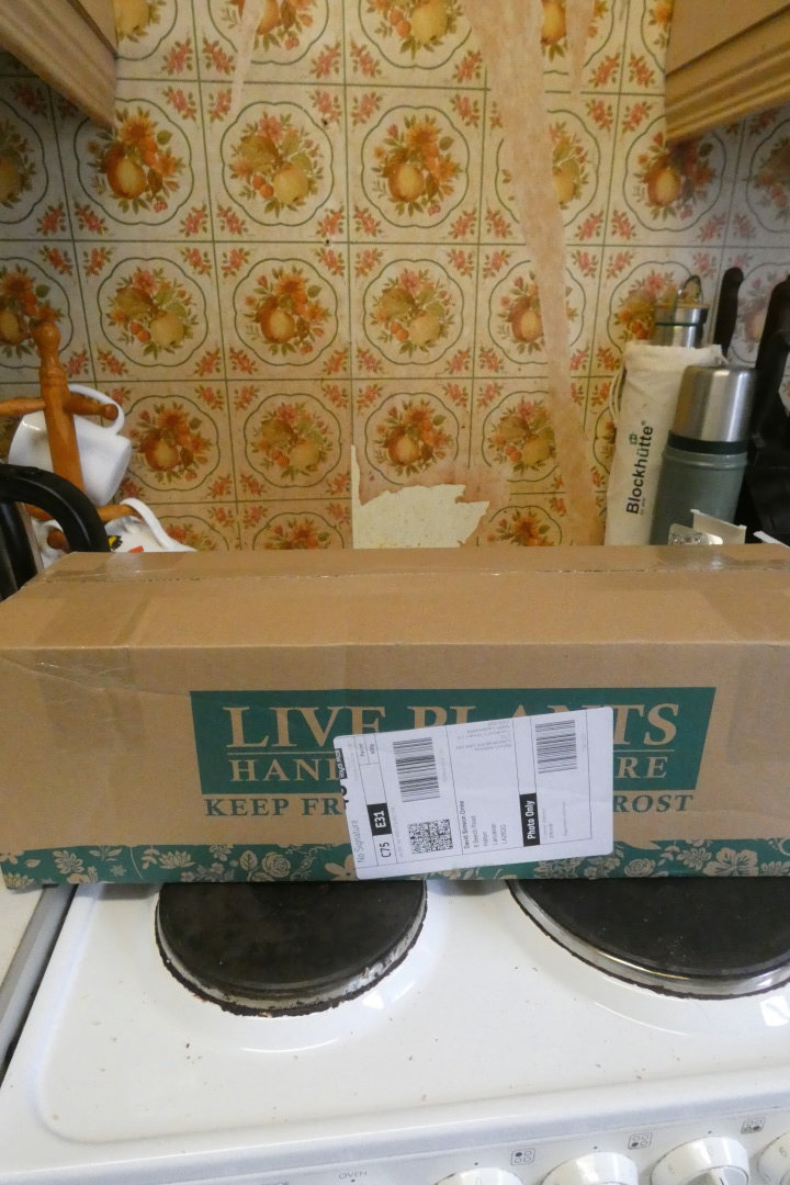 Upscaled with Gigapixel v1.1.3. 3264x4896 => 720x1080 (0.220588x) Model: Standard V2, denoise: 0.6995342969894409, sharpen: 0.3929573595523834, decompression: 0.25905460119247437